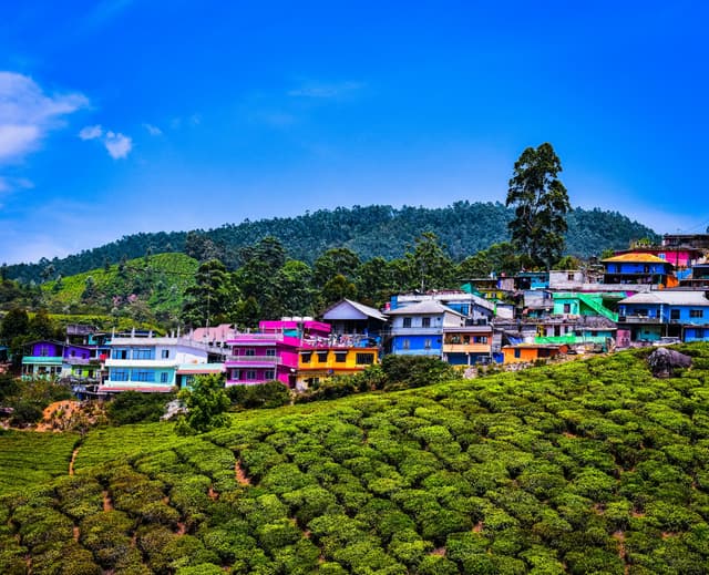 Hillside Village